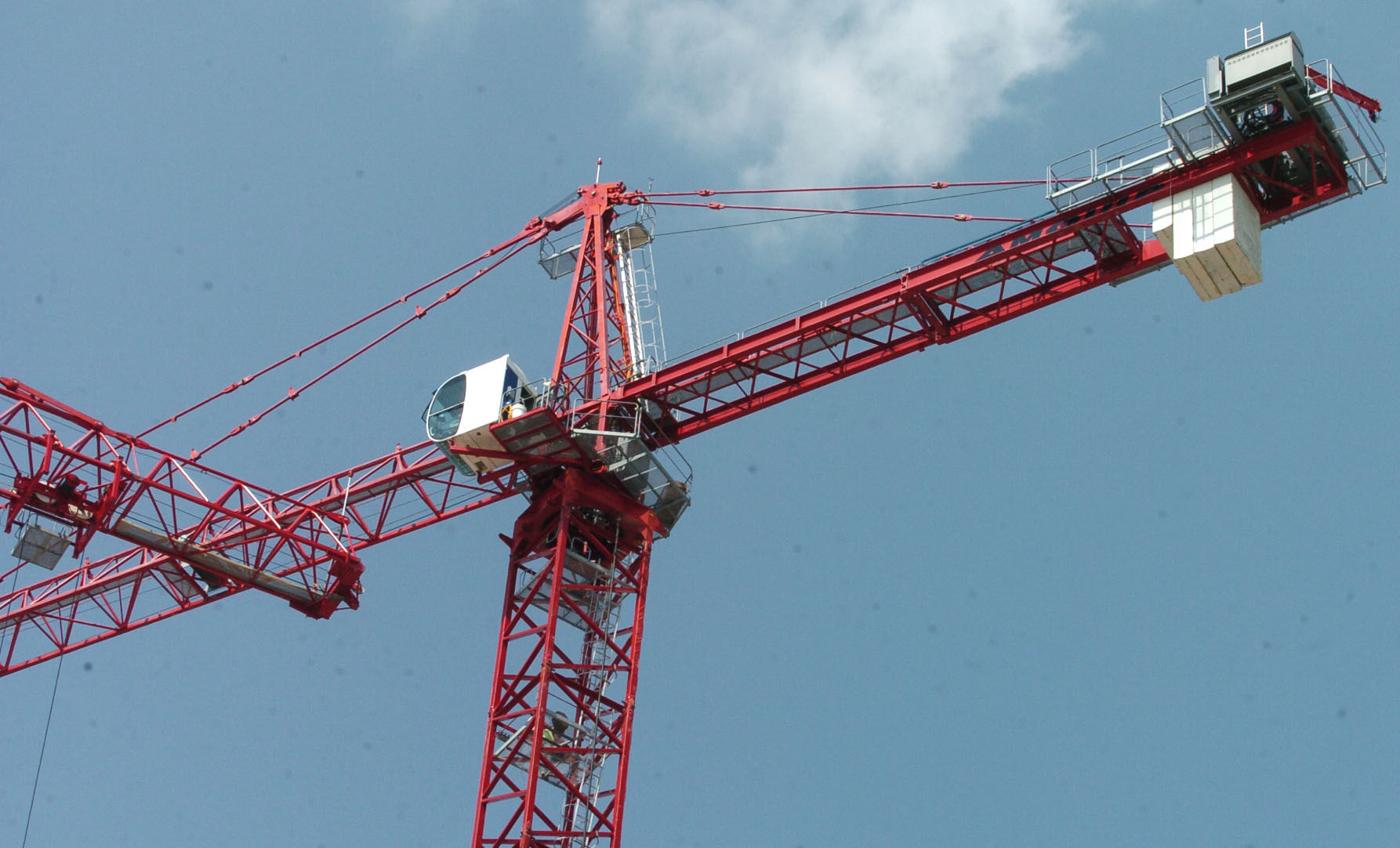 cranes